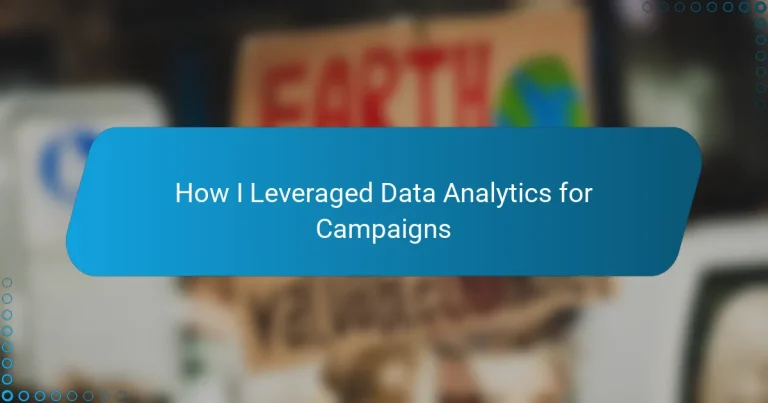 How I Leveraged Data Analytics for Campaigns